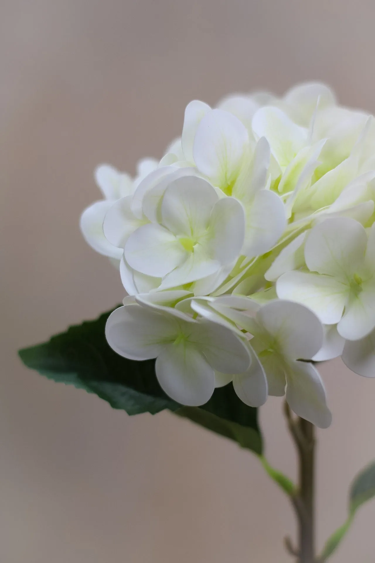 Faux Small Ivory and Soft Green Hydrangea Stem