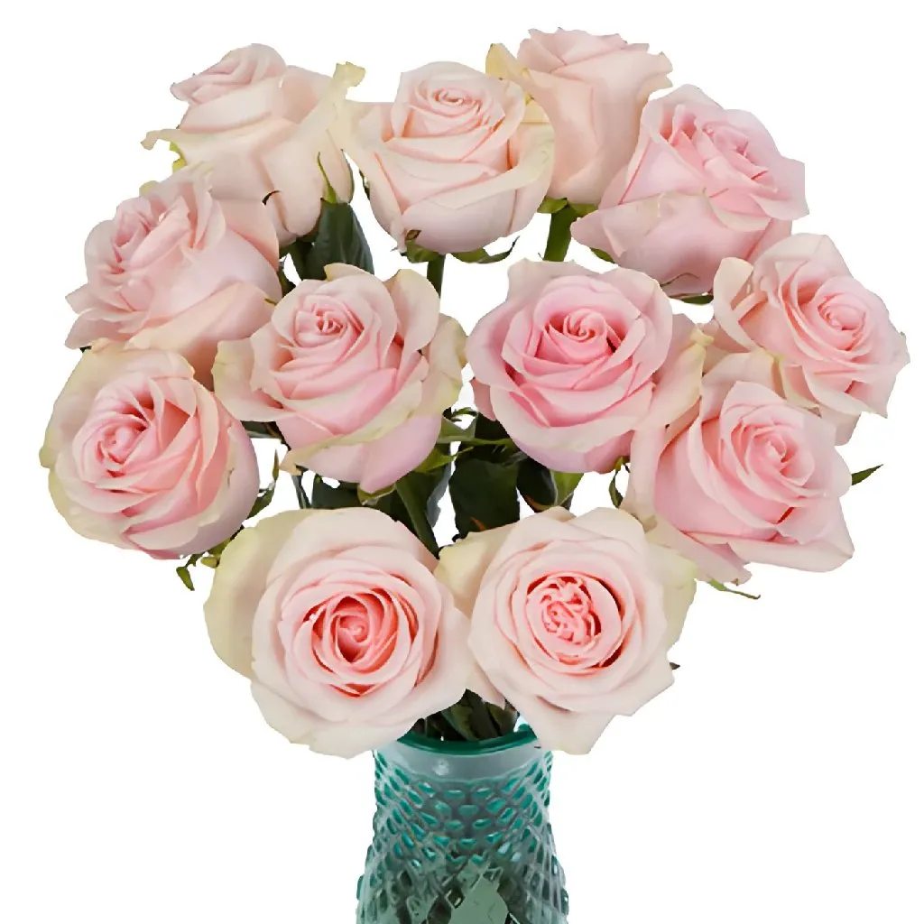 Paris Pink Rose