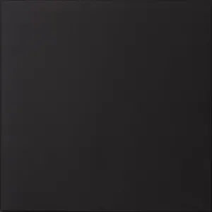 Winc  Black - Each